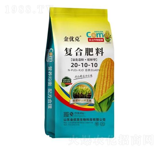 ��������������͏�(f��)�Ϸ���20-10-10-����(y��u)��