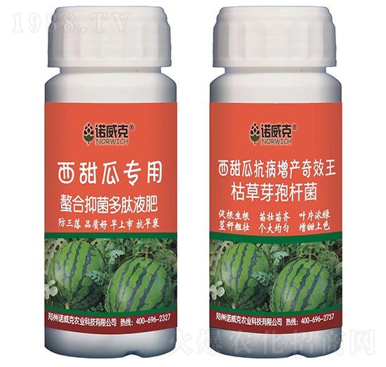 ����ό��������־�����Һ��+�������a(ch��n)��Ч��-�Z����