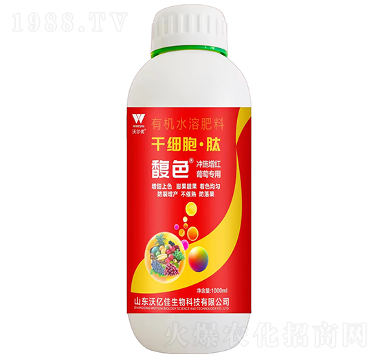 �ɼ�������-�ɫ-�֠���(y��u)