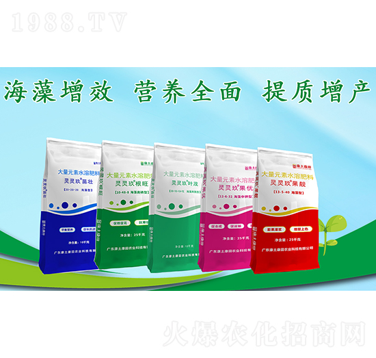 �`�`������Ԫ��ˮ�ܷ���-��������