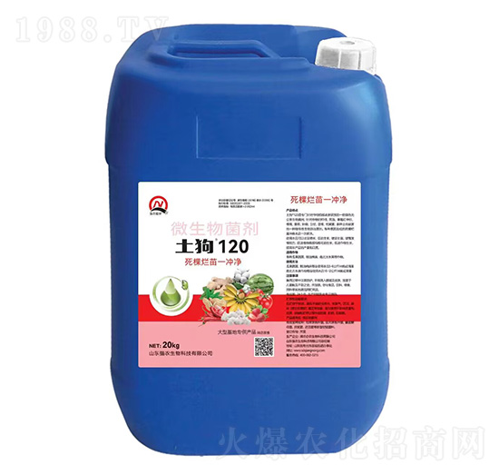 死棵爛苗一沖凈-土狗120-強農(nóng)生物