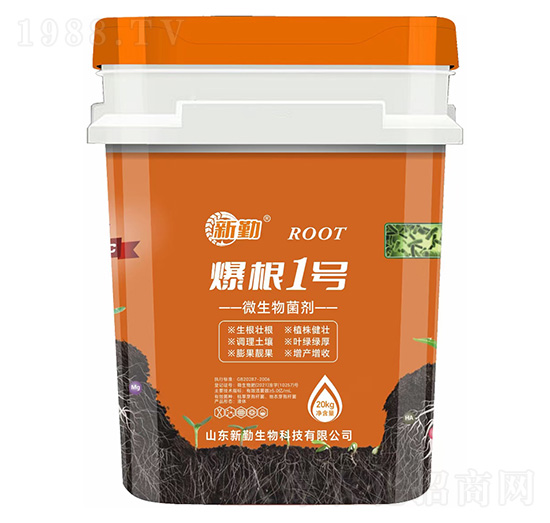 ����1̖΢�������-��������