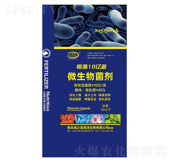 ΢�������-����10�|��-���(d��ng)-��֮��