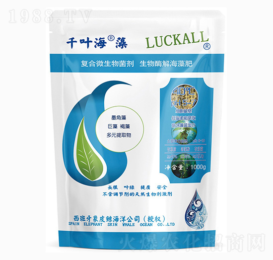 �ͺ�΢�������-ǧ�~����-��˹�r(n��ng)