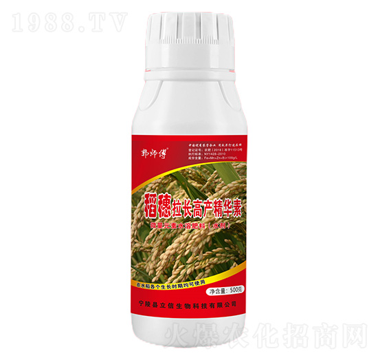 稻穗拉長(zhǎng)高產(chǎn)精華素-郭師傅-立信生物