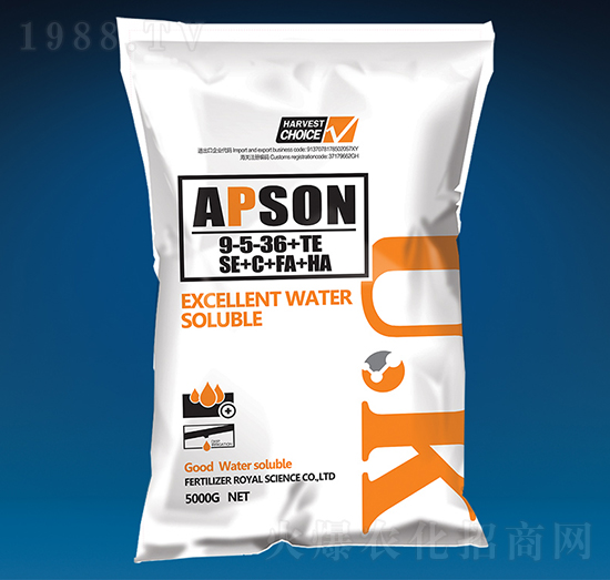 �������9-5-36+TE-��(��i)����