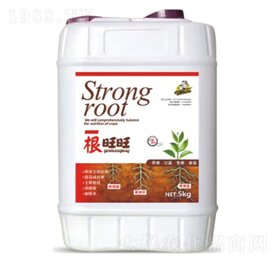 ������-��˹��