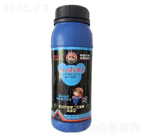 ������6+1EM��(f��)����������-ʩ����