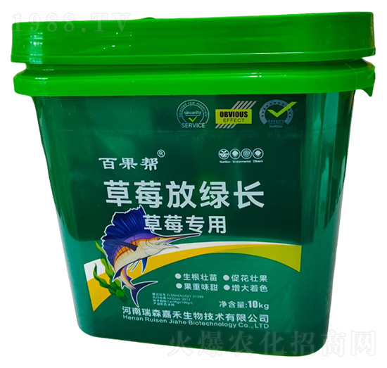 ��ݮ���ò�ݮ�žG�L-��ɭ�κ�