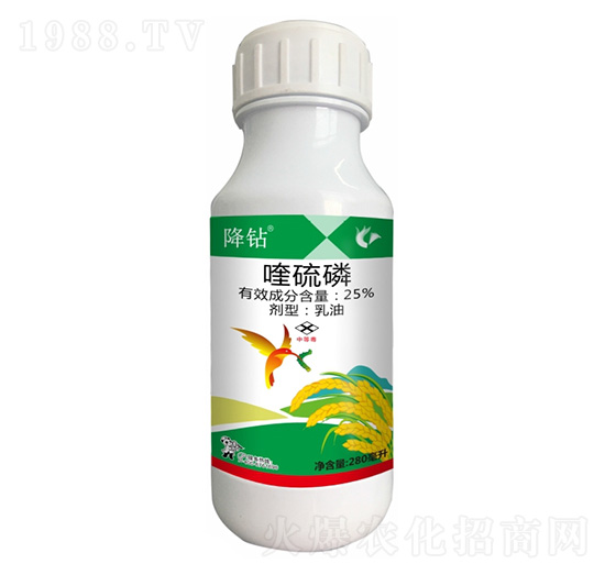 25%�����-���@-����¡����