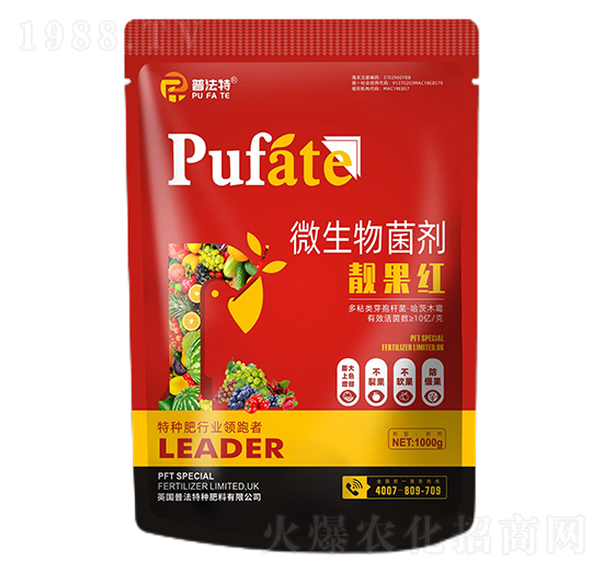 ΢�������-�n���t-�շ���