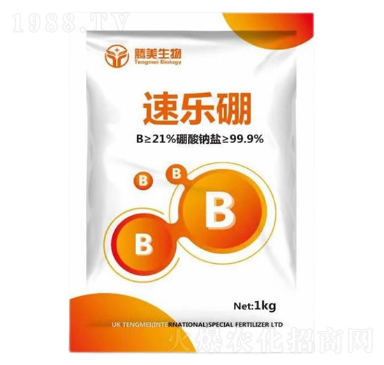 �٘���-�v������