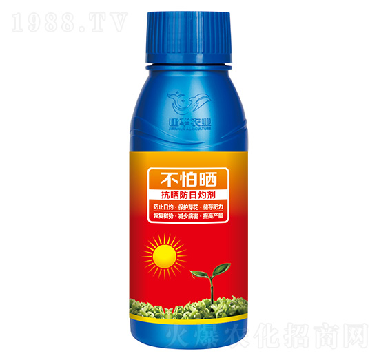 ��������Ƅ�-����-���A�r�I(y��)