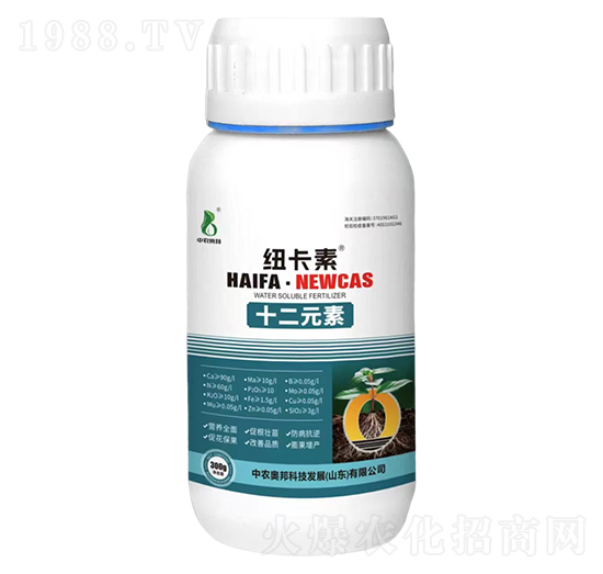 十二元素-紐卡素-中農奧邦