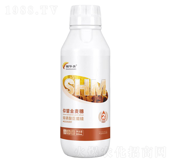 烯磷酸巨能硅-仰望金麥穗-韶華美