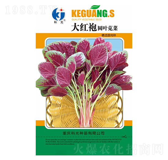 ��t�ۈA�~�{��-�ƹ�N��