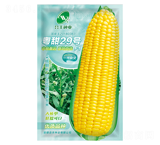 粵甜29水果玉米-合豐種業(yè)
