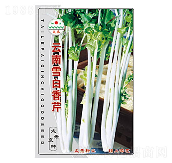 ����ѩ������-̫���N�I(y��)