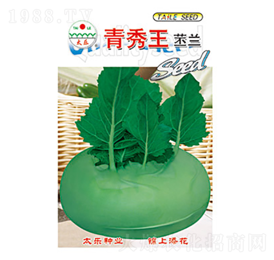 ���m�N��-���������m-̫���N�I(y��)