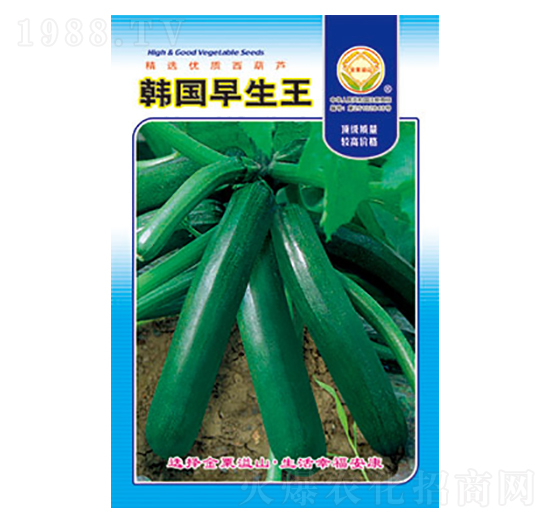 �����J�N��-�n��������-̫���N�I(y��)