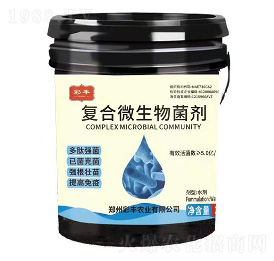 �ͺ�΢�������-���S�r�I(y��)