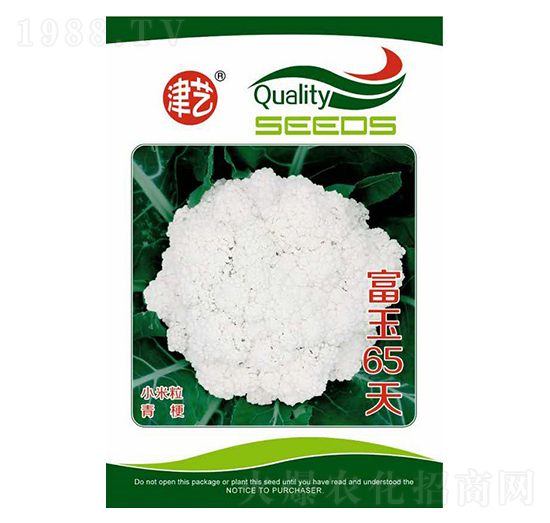 ���˷N��-����65��-���S�r�I(y��)