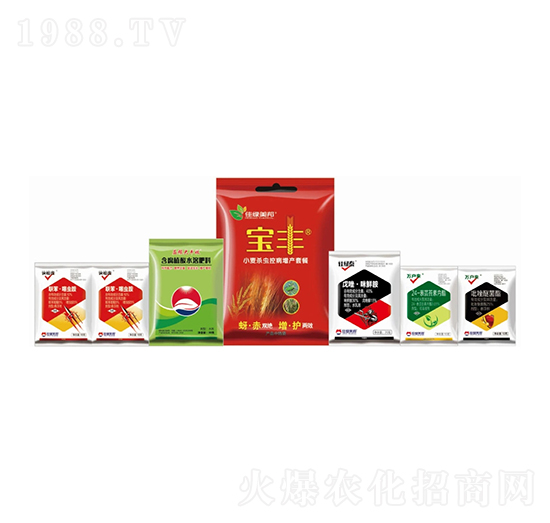 小麥病蟲害解決方案-寶豐-美邦化工