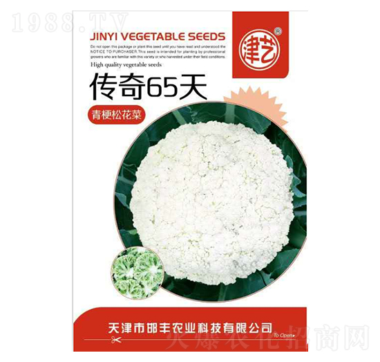 花菜種子-傳奇65天-邯豐農(nóng)業(yè)