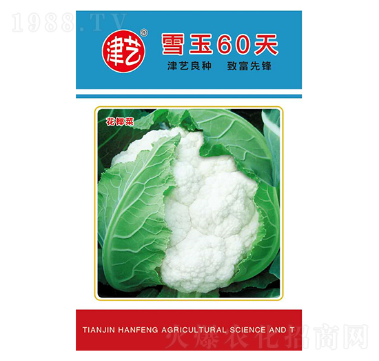 ���˷N��-ѩ��60��-���S�r(n��ng)�I(y��)