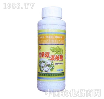 ��ɽ����-����˥�M����