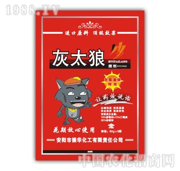 ���A����-��̫��