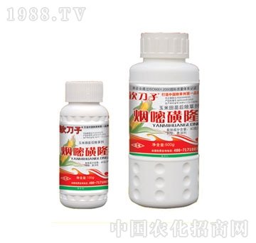 �G��-��ܛ���ӡ����׳�