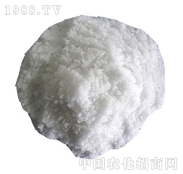 好時吉-20-20-20+TE