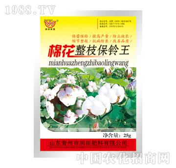 潤田-棉花整枝保鈴?fù)? />
                                </div>
                            </div>
                            
                            <style type=