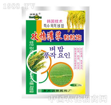 潤(rùn)田-攻穗灌漿粒粒飽