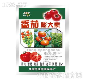 潤(rùn)田-番茄膨大素