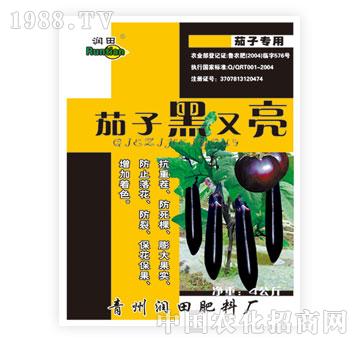 潤田-茄子黑又亮