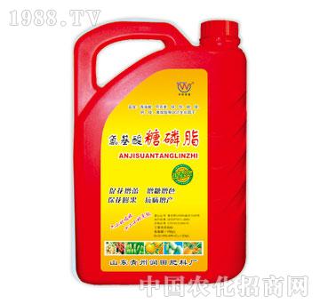 潤(rùn)田-氨基酸糖磷脂