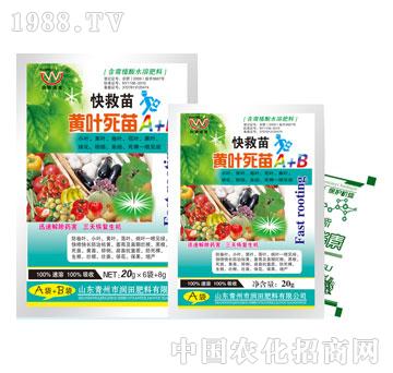 ����-������S�~����A+B