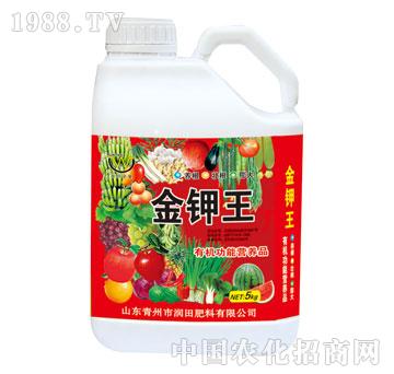 ����-�����