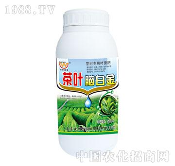 潤田-茶葉腦白金