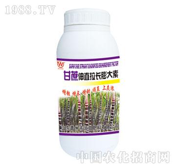 潤(rùn)田-甘蔗伸直拉長(zhǎng)膨大素