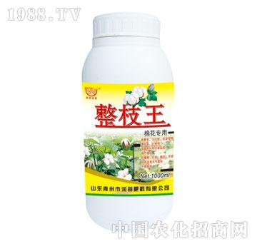 潤(rùn)田-整枝王棉花專用