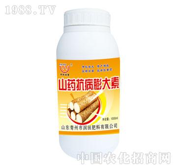 潤(rùn)田-山藥抗病膨大素