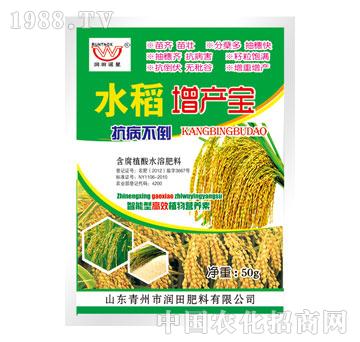 潤田-水稻增產(chǎn)寶