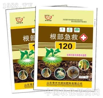 潤(rùn)田-根部急救120