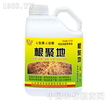 潤(rùn)田-根聚地