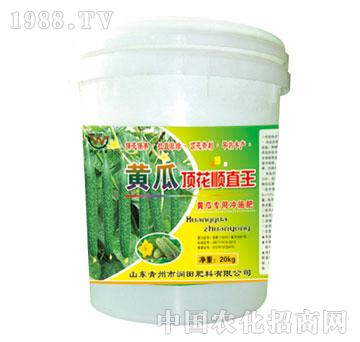 潤(rùn)田-黃瓜頂花順直王