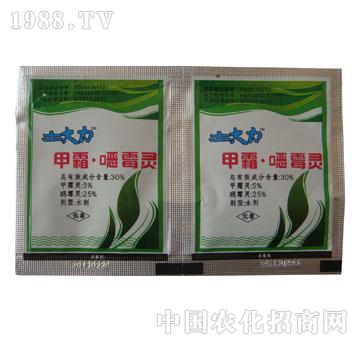 �L(zh��ng)�p-������-��˪��ù