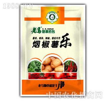 �ѿ���������݄�